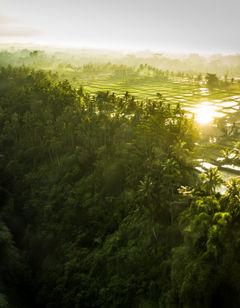 The Viceroy Bali