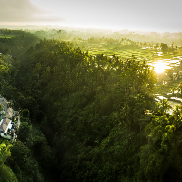 The Viceroy Bali