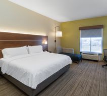 Holiday Inn Express & Suites Talladega Room