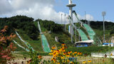 InterContinental Alpensia Pyeongchang Other