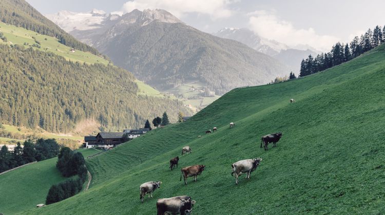 Alpin Royal Wellness Refugium Exterior