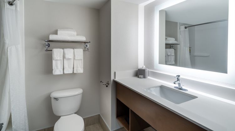 Holiday Inn Express & Suites Room