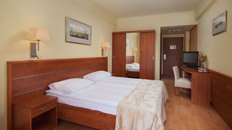 Hotel Benczur Room