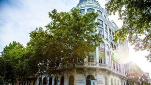 Hotel Petit Palace Savoy Alfonso XII