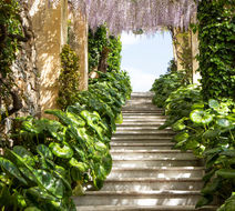 Villa Della Pergola Exterior