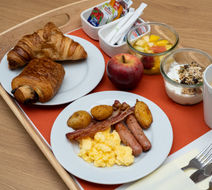 Holiday Inn Lyon-Vaise Room