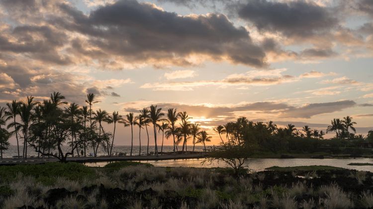 Waikoloa Beach Marriott Resort & Spa Other