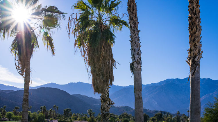 Kimpton Rowan Palm Springs Hotel Other
