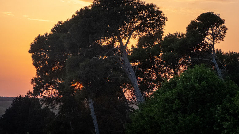 <b>Baglioni Masseria Muzza Recreation</b>. Images powered by <a href="https://www.leonardoworldwide.com/" title="Leonardo Worldwide" target="_blank">Leonardo</a>.