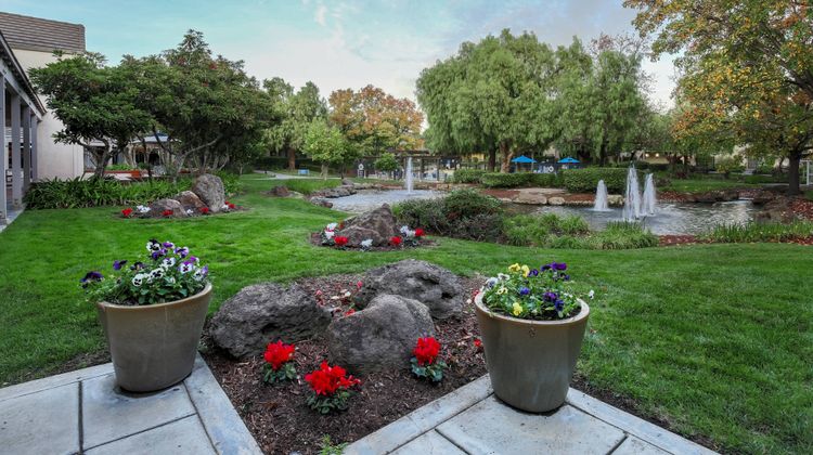 Four Points by Sheraton Pleasanton Other