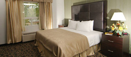 Paradise Inn & Suites Redwater Room