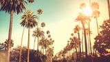 Kimpton Hotel Wilshire Other
