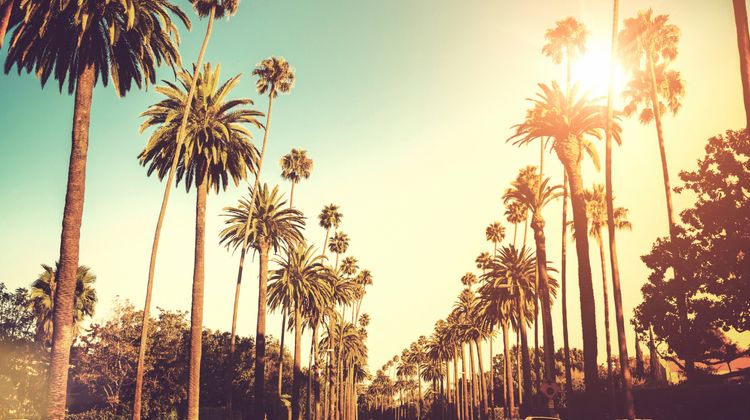 Kimpton Hotel Wilshire Other
