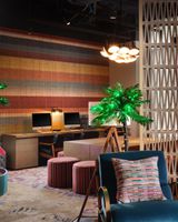 Moxy Austin-University