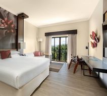 Costa Rica Marriott Hotel Hacienda Belen Room