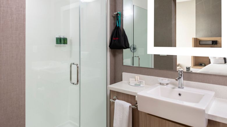<b>SpringHill Suites Charlotte Huntersville Room</b>. Images powered by <a href="https://www.leonardoworldwide.com/" title="Leonardo Worldwide" target="_blank">Leonardo</a>.