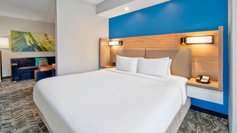 <b>SpringHill Suites by Marriott Erie Suite</b>. Images powered by <a href="https://www.leonardoworldwide.com/" title="Leonardo Worldwide" target="_blank">Leonardo</a>.