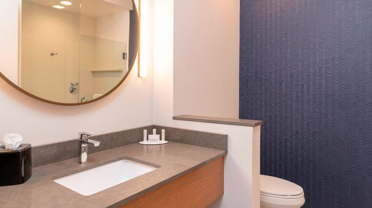Fairfield Inn & Suites Fair Oaks Farms Room