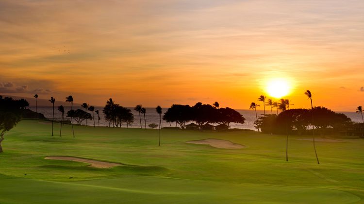 The Westin Maui Resort & Spa, Ka'anapali Golf