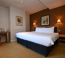 Vine Hotel Room