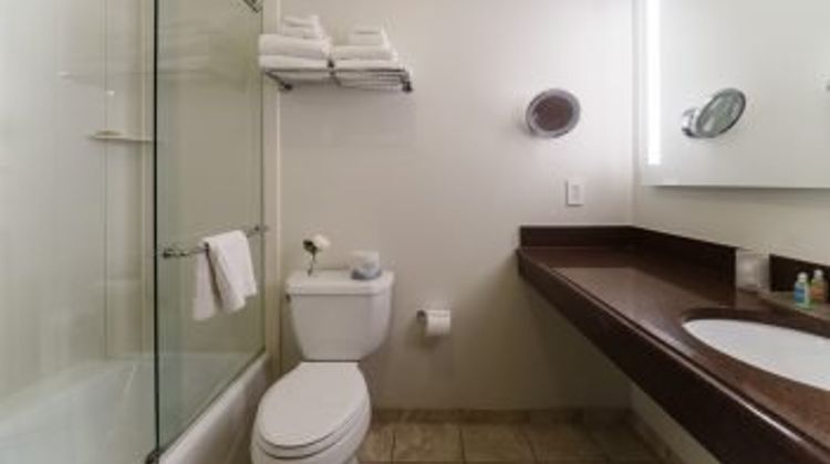 Chestnut Hill Hotel Room
