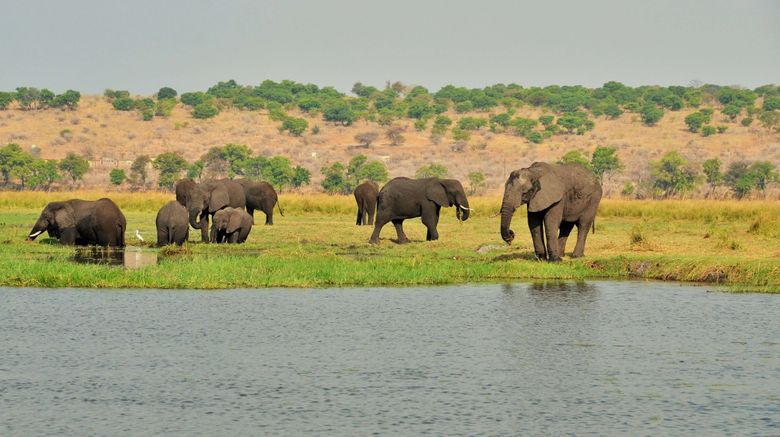 <b>Cresta Mowana Safari Resort & Spa Other</b>. Images powered by <a href="https://www.leonardoworldwide.com/" title="Leonardo Worldwide" target="_blank">Leonardo</a>.