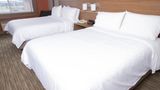 Holiday Inn Express Toledo West-Napoleon Room
