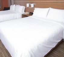 Holiday Inn Express Toledo West-Napoleon Room