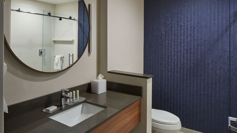 <b>Fairfield Inn & Suites Clemson Univ Area Room</b>. Images powered by <a href="https://www.leonardoworldwide.com/" title="Leonardo Worldwide" target="_blank">Leonardo</a>.
