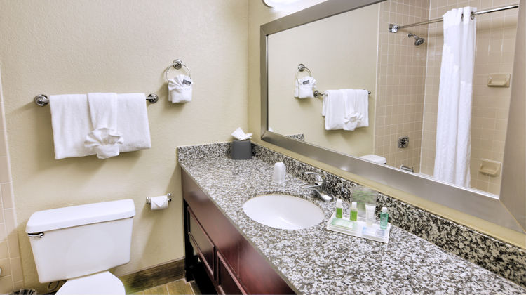 Holiday Inn St Petersburg N Clearwater Room