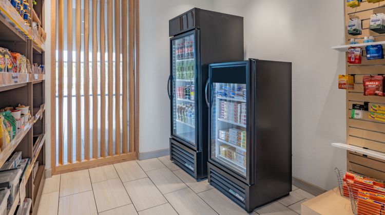 Holiday Inn Express & Suites Ruskin Other