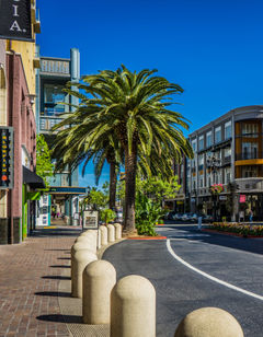 Hotel Valencia Santana Row