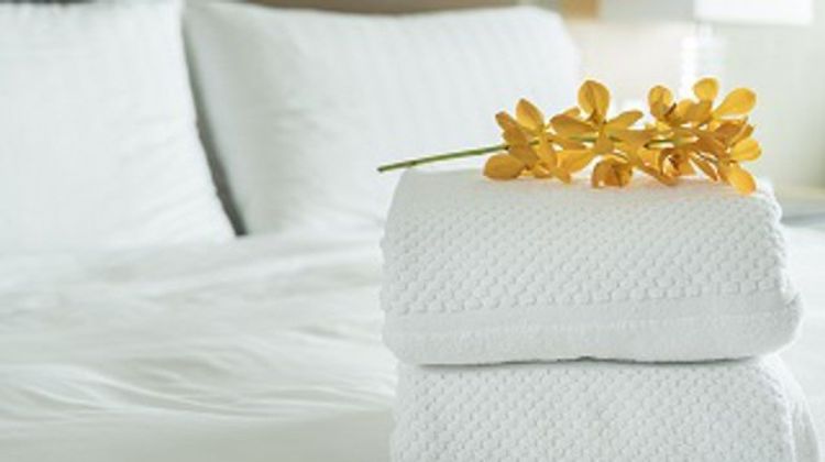 Serene Vegas, a Vegas Resort Room