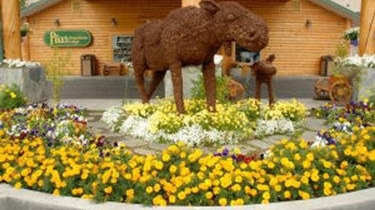 Pikes Waterfront Lodge Other
