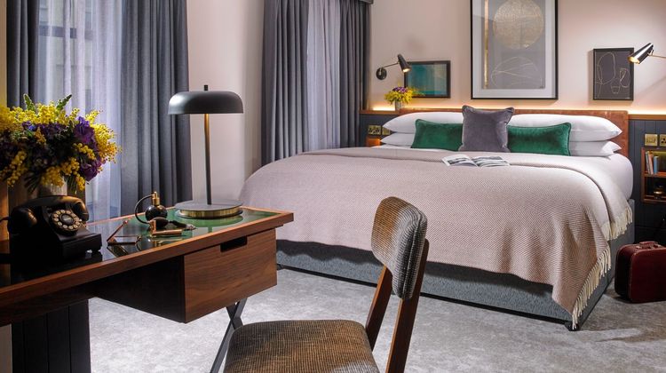 The Alex Suite