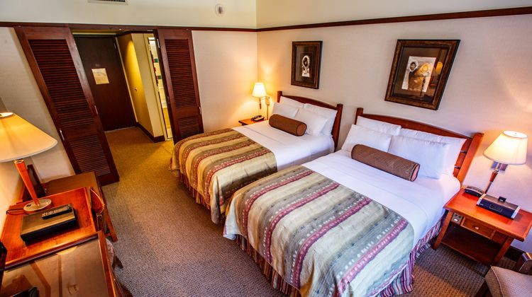 Alyeska Resort Room