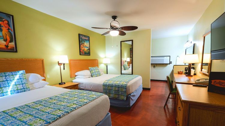 Caliente Tropics Resort Room