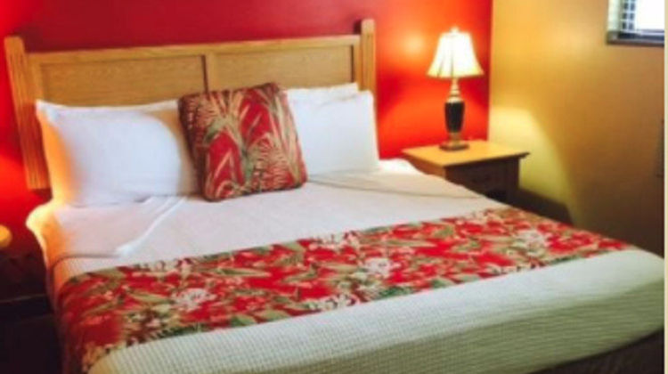 Caliente Tropics Resort Suite