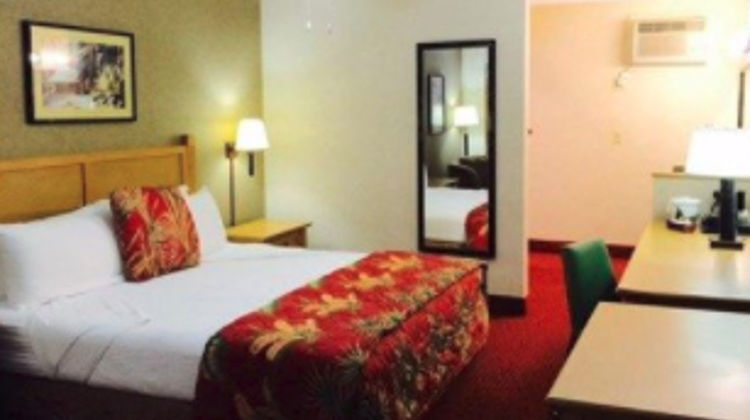 Caliente Tropics Resort Room