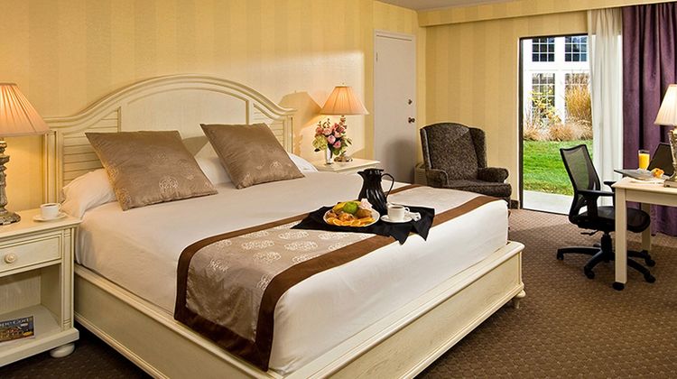 Margaritaville Resort Cape Cod Room