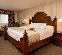 Margaritaville Resort Cape Cod Room