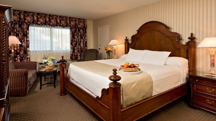 Margaritaville Resort Cape Cod Room