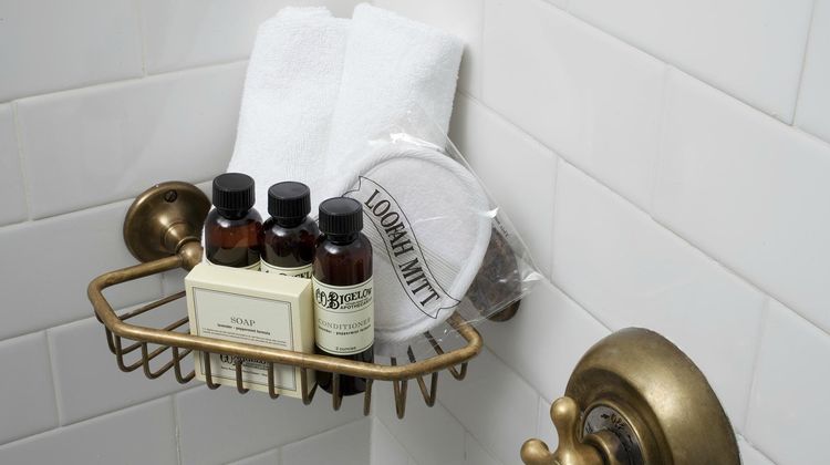 The Bowery Hotel Room