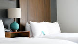 Hotel Thaynes Park City Room