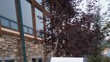 The Estes Park Resort Other