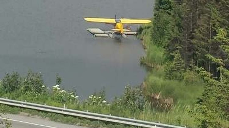 Beluga Lake Lodge Other