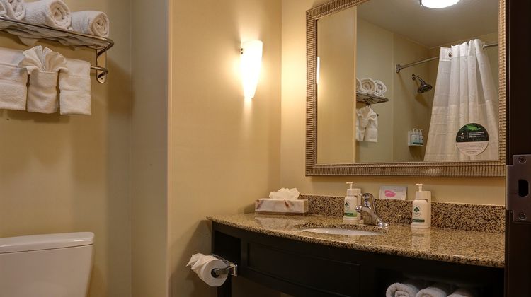 GreenTree Inn & Suites Florence Room