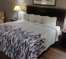 Red Roof Inn & Suites Midland Room