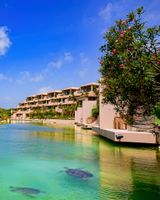 Shigira Bayside Suite Allamanda