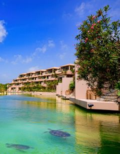 Shigira Bayside Suite Allamanda